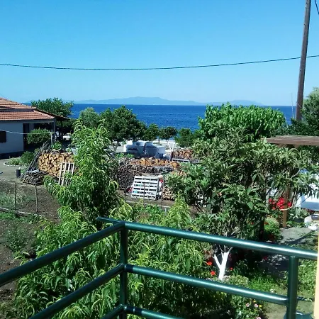 Oxanas *